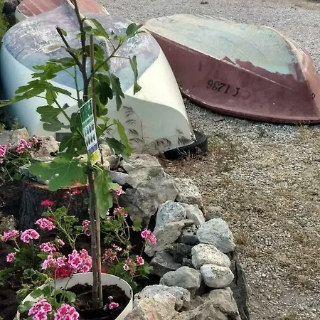 شقة The View تْسْغيكفانِتْسا